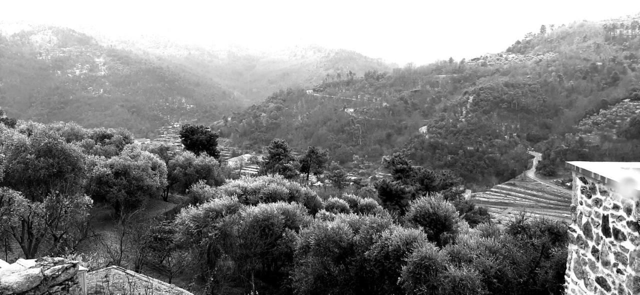 B&B L' Antica Macina Quiliano Extérieur photo