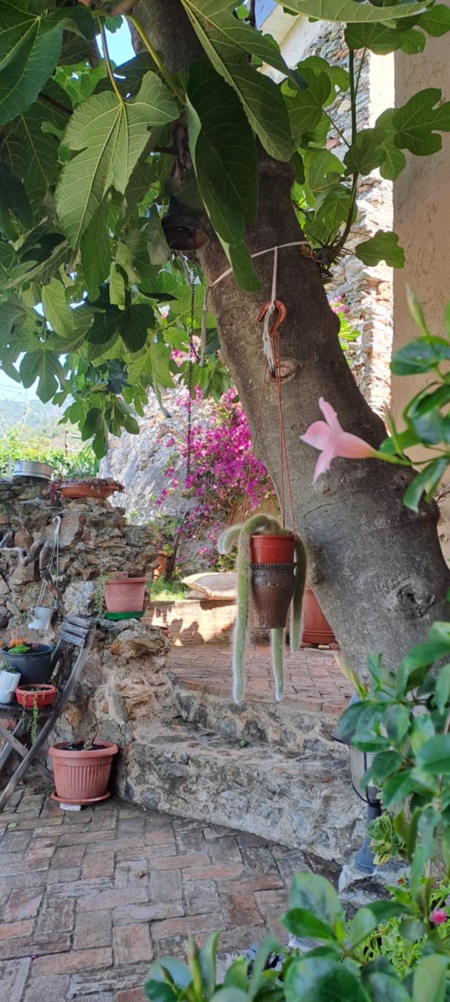 B&B L' Antica Macina Quiliano Extérieur photo