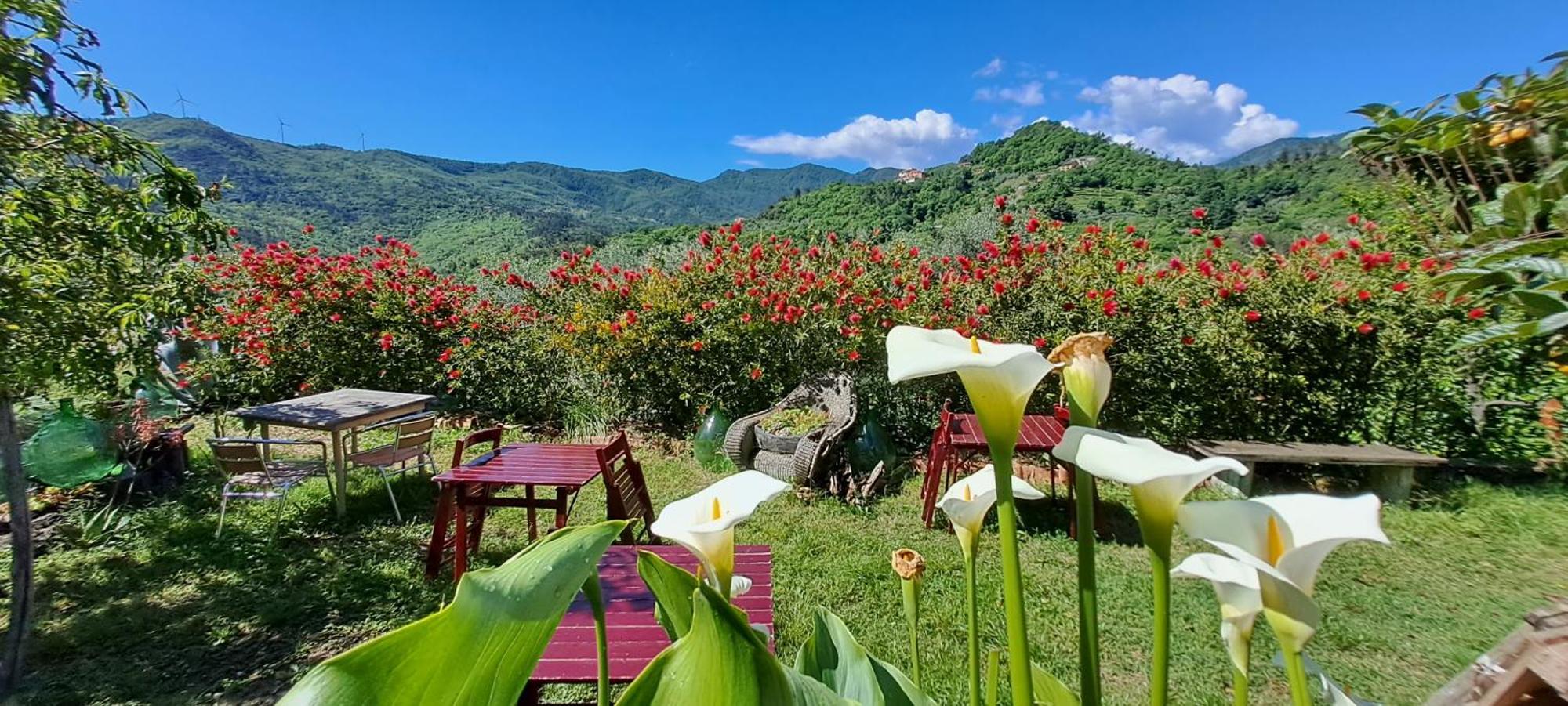 B&B L' Antica Macina Quiliano Extérieur photo