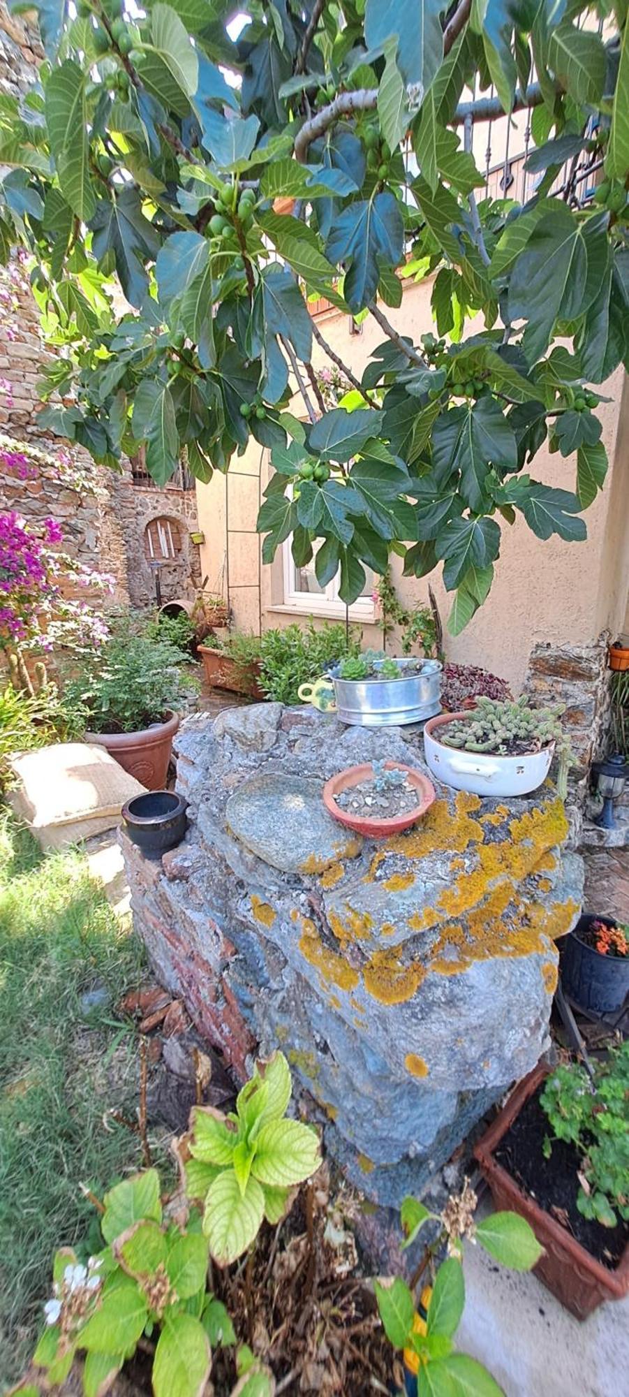 B&B L' Antica Macina Quiliano Extérieur photo